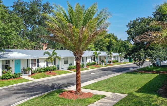 1 bed, 1 bath, 557 sqft, $1,299, Unit J30