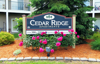 Cedar Ridge