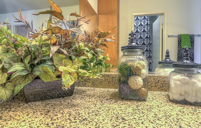 A plant in a pot sits on a countertop next to a jar with a plant in it.