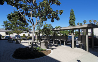 Welcome to Piccadilly Square