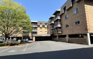 Updated 3 Bed Condo in Myers Park