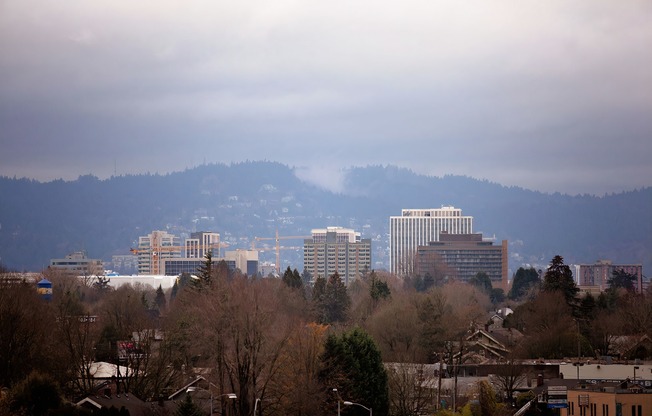 View of Portland from Laurel42