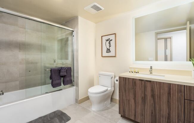 a bathroom with a shower toilet and a sink