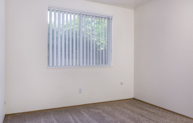 an empty room with a window and a carpet