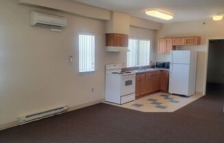 1 bed, 1 bath, 453 sqft, $555