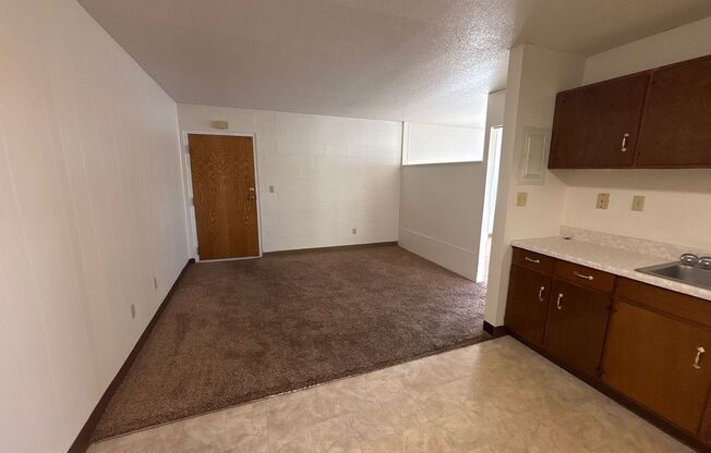 Studio, 1 bath, 500 sqft, $650, Unit 328