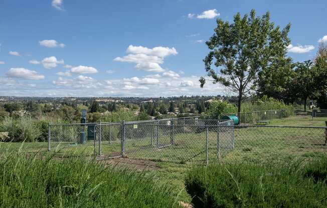 Sunset Summit fenced dog park