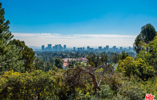 1250 ANGELO DR
