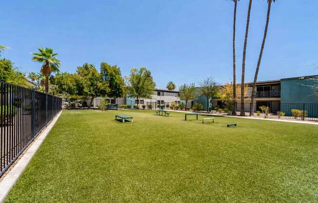 Pet-friendly outdoor courtyard at Sono Tempe Apartments in Tempe, Arizona with open green space for residents and pets.