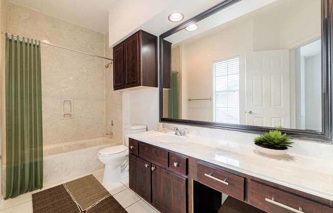 a bathroom with a sink and a toilet and a mirror