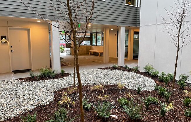 Studio, 1 bath, 240 sqft, $1,350, Unit 504