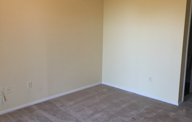 1 bed, 1 bath, $800