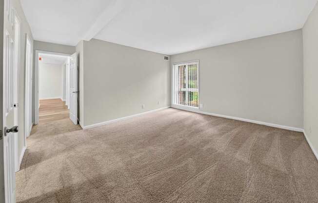 A room with a carpeted floor and a window with blinds.