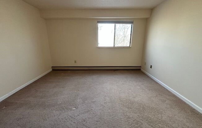 1 bed, 1 bath, $1,200, Unit 308