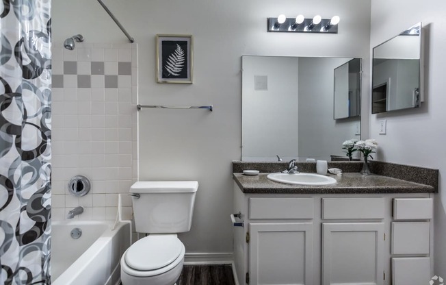 a bathroom with a sink toilet and shower and a mirror