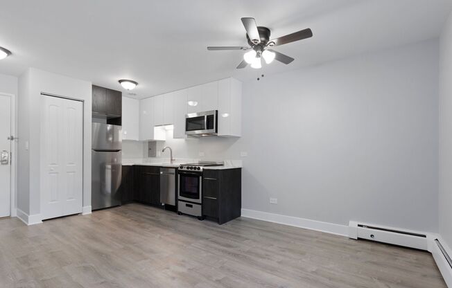 1 bed, 1 bath, 382 sqft, $1,725, Unit 203