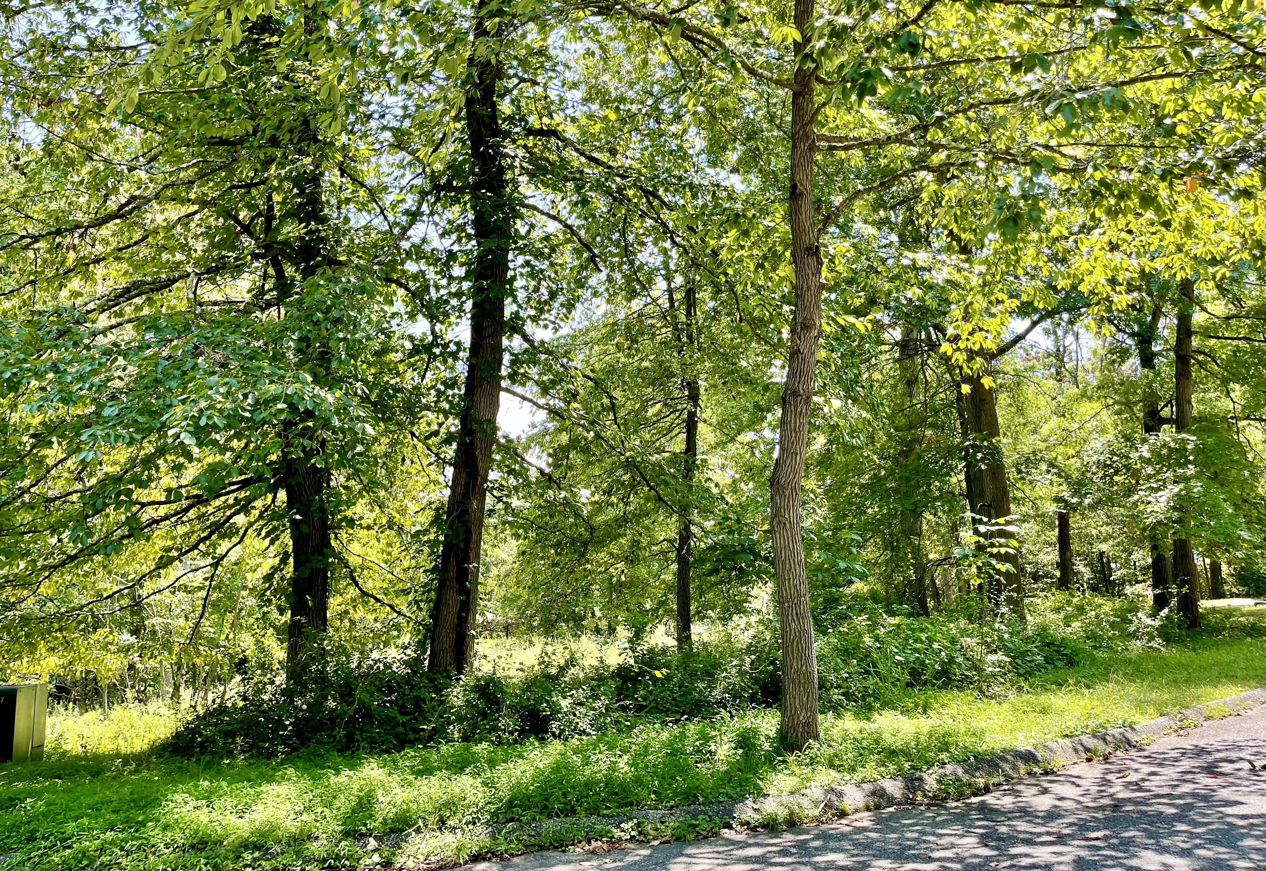 Patapsco Valley State Park in Baltimore