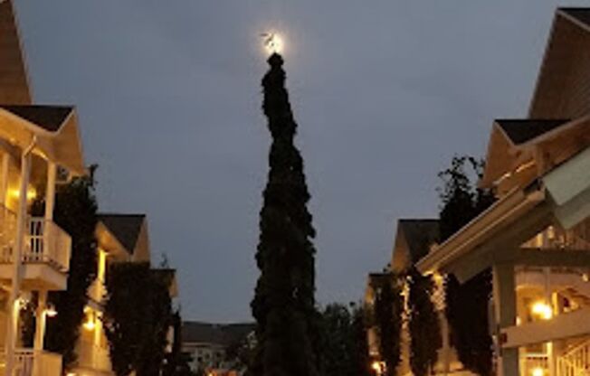 2 beds, 2 baths, 915 sqft, $2,575, Unit 4346-15