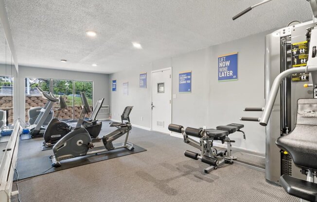 the gym is equipped with cardio equipment and weights