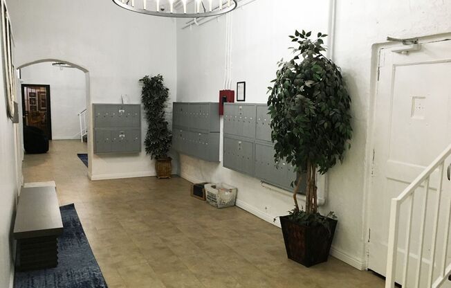 Studio, 1 bath, $1,350, Unit 215