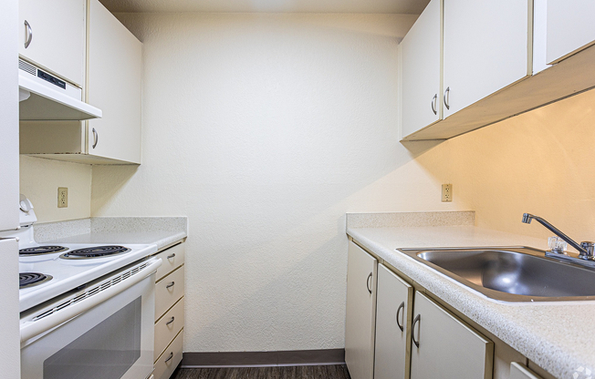 Classic Style Studio Kitchen