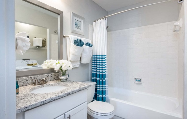 Tampa Apartments with W/D at Arbour Ponds Aspen bathroom 2x2 950 sq ft