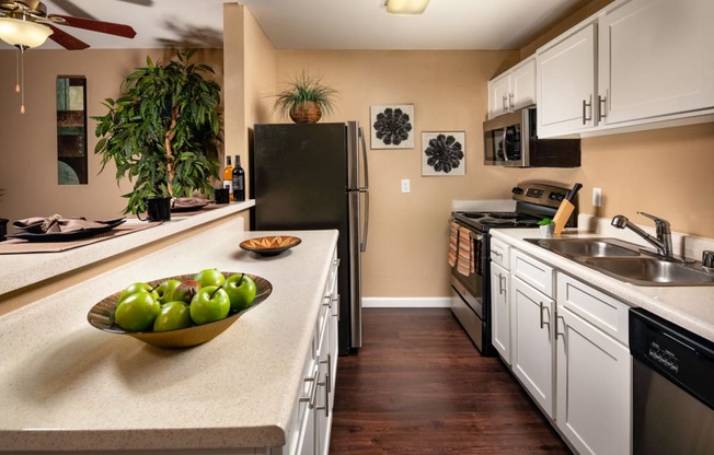 Remodeled Kitchen at Renaissance Terrace, California