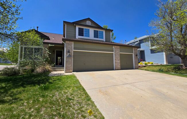 Beautiful and Fresh Updated Four Bedroom Home on a Corner Lot in Rock Creek!