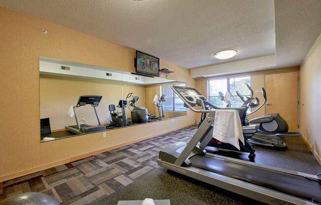 An exercise room with a treadmill and an elliptical.