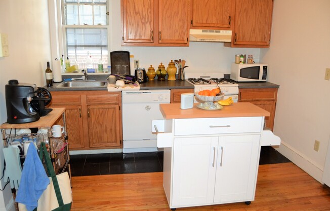 17 Cummings Rd, Brighton MA 6