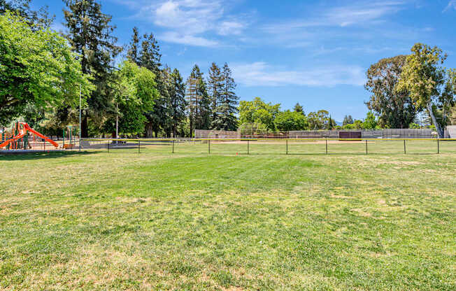 A large grassy field with trees and a fence in the distance.