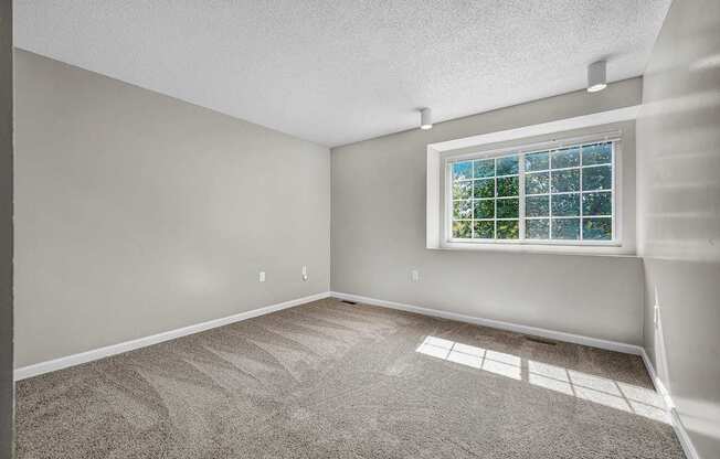 Bedroom with Plush Carpeting