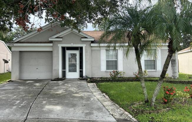 12436 DAWN VIS DR