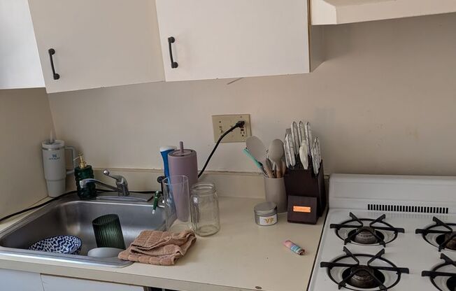 1 bed, 1 bath, $2,300, Unit 3