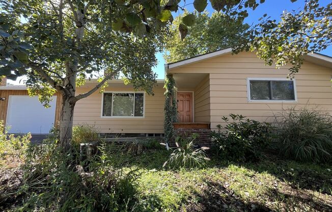 Light-Filled Home with Open Layout, Modern Kitchen, and Private Outdoor Oasis