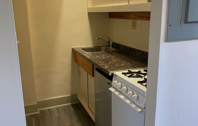 Studio, 1 bath, 225 sqft, $1,399, Unit 43