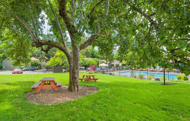 a park with two picnic tables under a tree