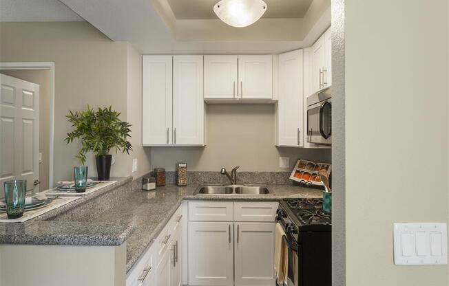 SpringTree Apartments Empty Apartment Kitchen