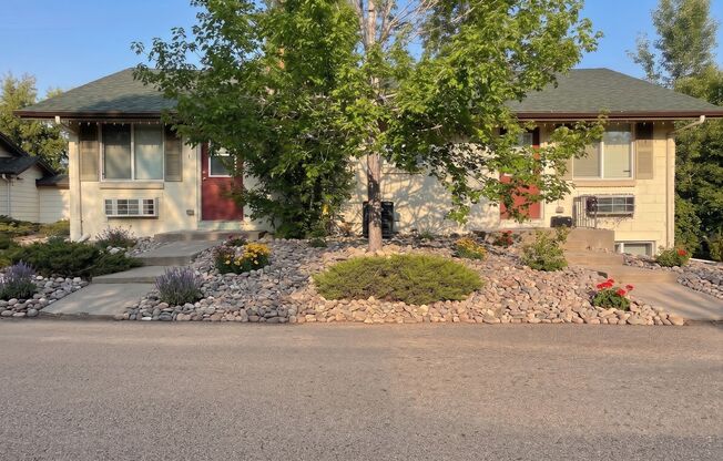 1460 & 1466 Reed St – Modern 1 & 2 Bedroom Apartments with W/D in Unit!