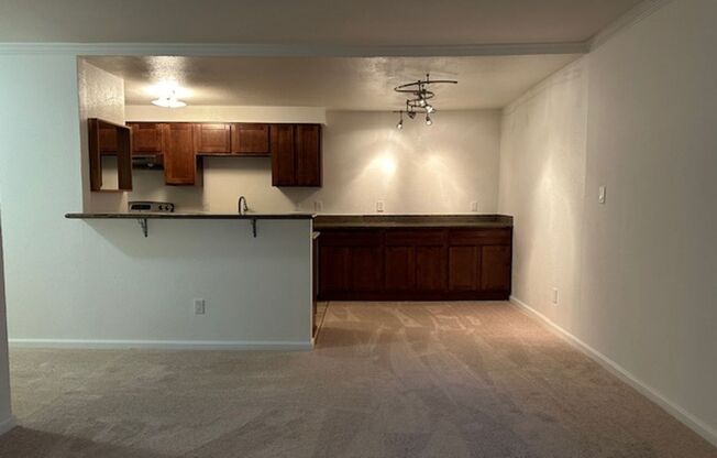 1 bed, 1 bath, $2,295, Unit # 209