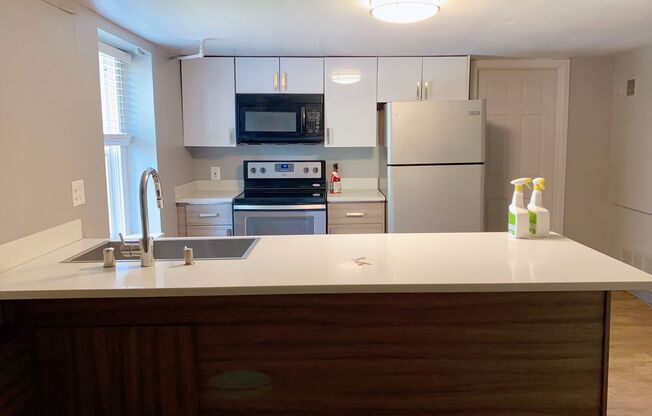 Rental -- Queen Anne