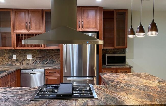 Rare Rental- Fully Renovated Classic in Castle Hills