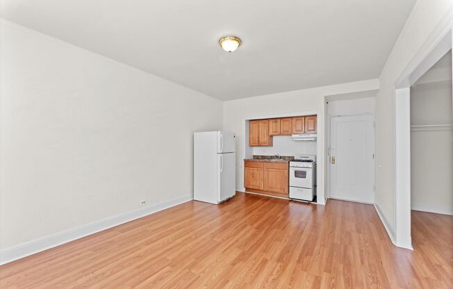 Studio, 1 bath, 395 sqft, $1,250, Unit 132