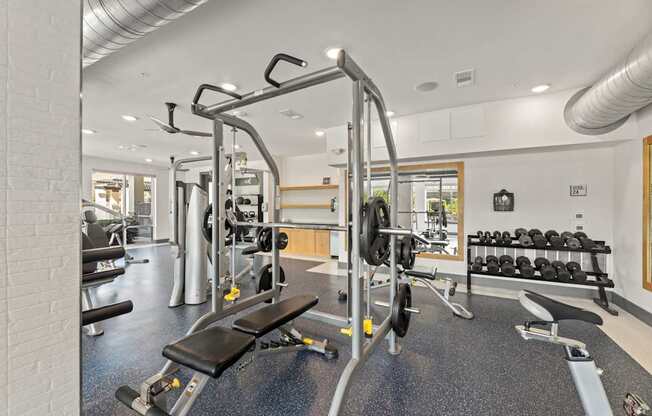 A gym with a variety of equipment including a weight bench, a barbell and a squat rack.