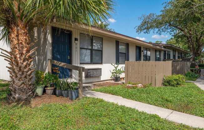 A house with a fence and a palm tree in front.