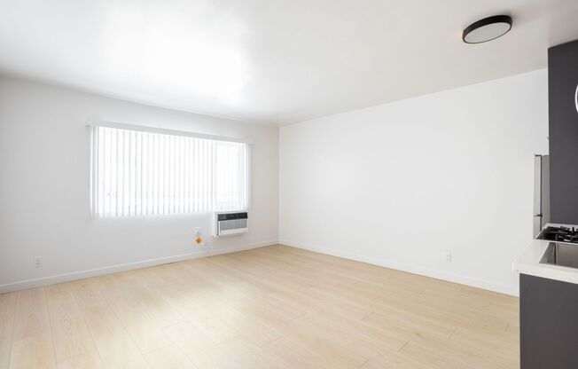 Studio, 1 bath, 263 sqft, $1,449, Unit 204