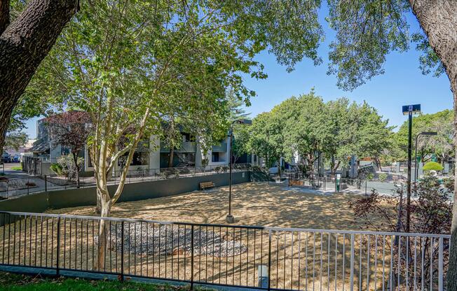 Gated dog park at Treehouse Apartments in Albuquerque, New Mexico