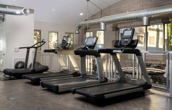 Three treadmills are lined up in a row in a gym.