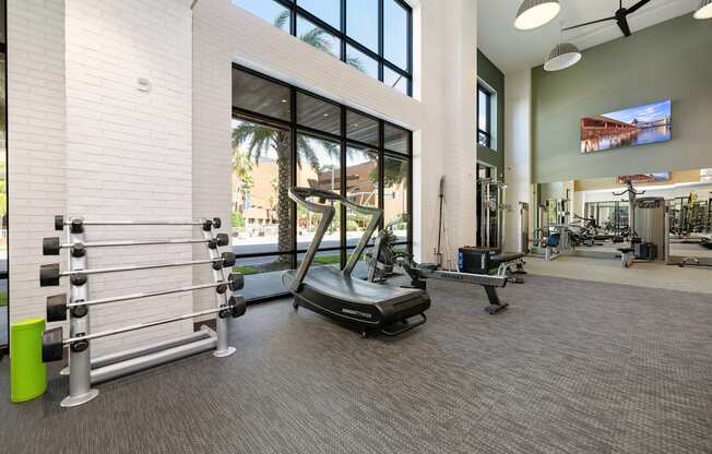 the gym at theamia apartments in upper druid hills