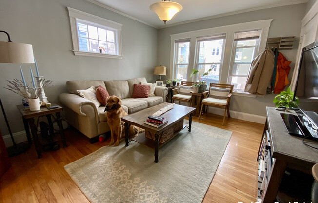 25 SAINT PETER ST